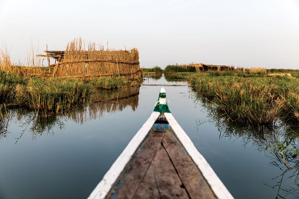 From the big mudhief meeting halls to these buffalo shelters, reeds provide the raw material for daily life in the marshes 